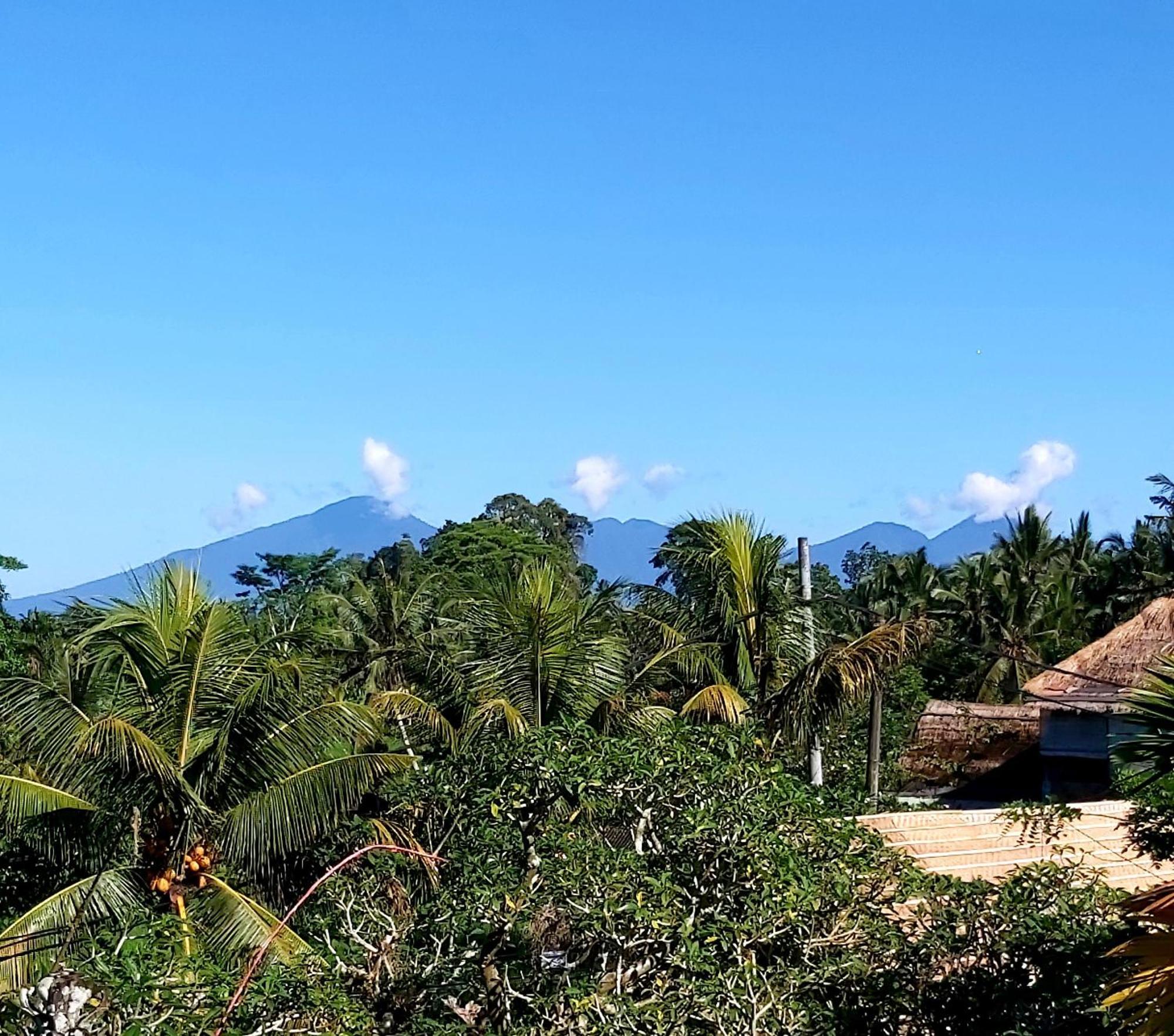 Mandala Blu Wellness Hotel Ubud Exterior foto